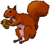 eichhoernchen05.gif: 74 x 65  7.75kB