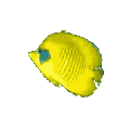 fisch02.gif: 121 x 121  10.78kB