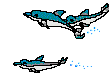 fischschwarm02.gif: 109 x 82  17.44kB