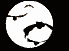 fledermaus07.gif: 69 x 51  2.46kB