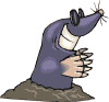 maulwurf02.gif: 100 x 93  11.6kB