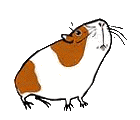meerschwein2.gif: 140 x 120 12.1kB meerschwein2.gif: 140 x 120 12.1kB