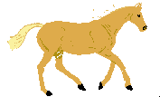 pferd20.gif: 177 x 107  9.26kB