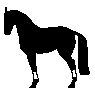 pferd25.gif: 95 x 95  5.34kB