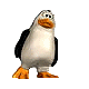 pinguin10.gif: 80 x 80 22.93kB pinguin10.gif: 80 x 80 22.93kB