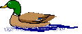 ente02.gif: 120 x 50  4.68kB