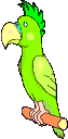 kakadu01.gif: 63 x 128  8.28kB