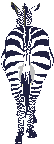 zebra04.gif: 54 x 144  3.11kB