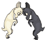 ziege03.gif: 95 x 82  11.19kB