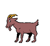 ziege10.gif: 160 x 150  6.41kB